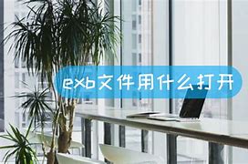 登录器配置文件 在哪里找到