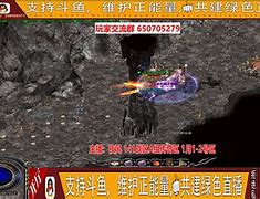 冰雪传奇冰雪传奇私服1.80私服（暂未上线）