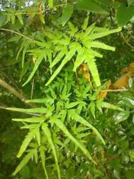 请问有人知道哪里有比较好玩的传奇世界私服吗 谢谢推荐一下