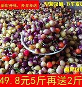 传奇私服赤月辅助官网