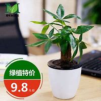 新开韩版天裂传奇私服与新开