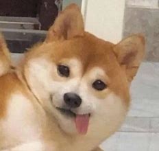 影子系统玩不了传奇私服